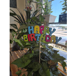 Happy Birthday Pick Bubble Letter