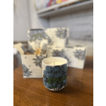 Annapolis Candle