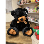 Black bear