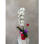 White orchid arrangement in a red pot with a heart pick and butterfly decoration