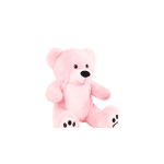 Pink teddy bear plush toy on a white background