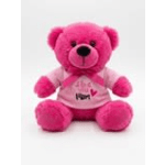 Small Mother's Day Bear