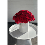 Rays of Roses