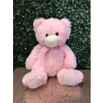 Bubble Gum Teddy