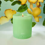 Mint green candle in a glass tumbler with ginger and mint in the background