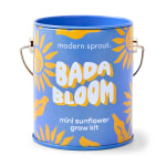 Complimentary Color Grow Kit - Mini Sunflower