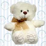 Teddy Cream