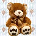 Teddy Blossom