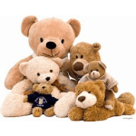 Group of plush teddy bears in tan and brown tones