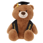 Class of 2026 Bear