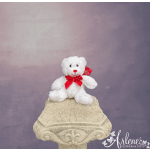 Extra Small Bear