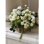 Neutral & Elegant