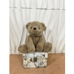 Teddyy Bear