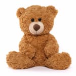 Small Teddy Bear