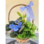 Violet Plant Basket
