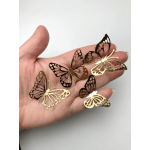 butterflies