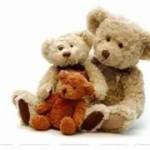 Medium Teddy Bear