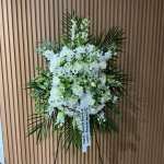 Eternidad  Blanca 