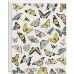 Patterned paper with colorful butterflies on a white background
