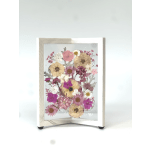 Framed pressed flowers in pink, white, and beige tones