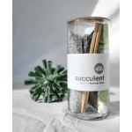A glass terrarium kit with a succulent and decorative stones
