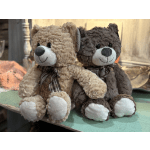Cashmere Teddy