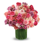 Rose Rapture