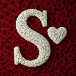 Baby's Breath Letter - S