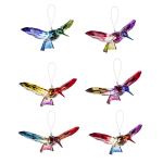 Rainbow Hummingbird