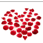 Box of Rose Petals