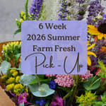 Mixed bouquet with purple, yellow, pink, and white flowers