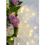 Fairy lights