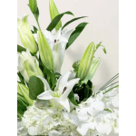 Designer's Choice Compat White