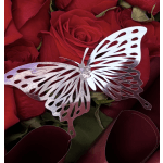 Silver butterflies.