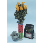 Coffee and succulents mug bundle