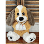 Get Well Soon Puppy