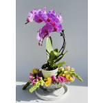 Orchids and Roses Bouquet