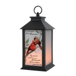 Lantern "Messenger from Heaven"