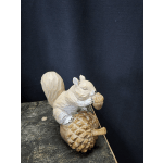 Woodland Squirrel