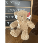 Small Teddy Bear