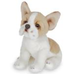 Lil' Frenchie the French Bulldog