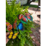 Butterfly Pick