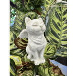 Cat angel