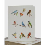 Bird medley