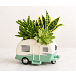 Happy Camper Succulent Garden