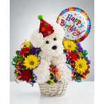Birthday Celebration Pup