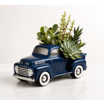 Classic Ford Succulent Truck