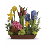 Spring Favorites
