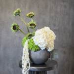 Modern Bloom