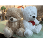 Classic Teddy